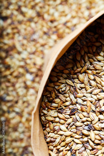 Barley malt - Castel Malting of the type,  used for the production of craft and home beer.