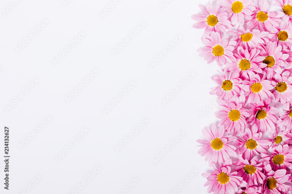 Floral flat lay frame of pink flower heads on white background