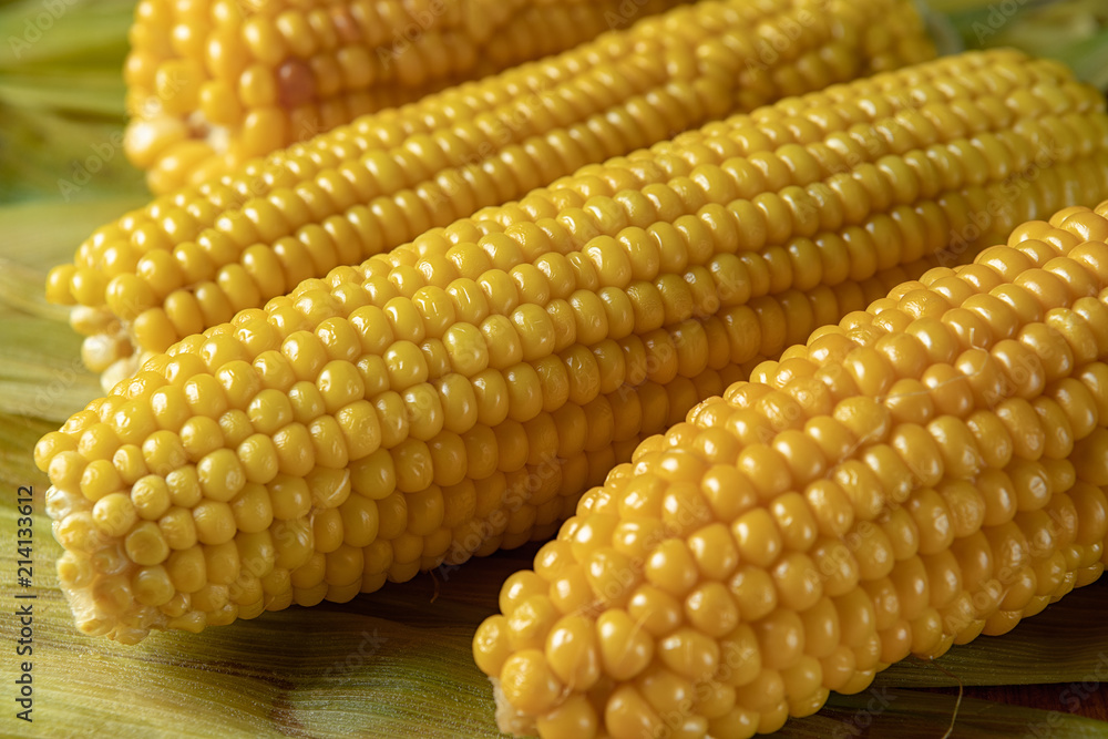 Boiled Corn on corn leaves, with shallow depth of field Boiled Corn on corn leaves, with shallow depth of field