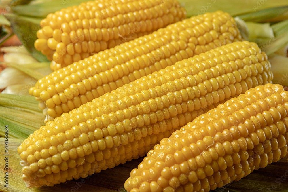 Boiled Corn on corn leaves, with shallow depth of field Boiled Corn on corn leaves, with shallow depth of field