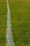 Single white line painted on the grass of a football field leading straight into the distance