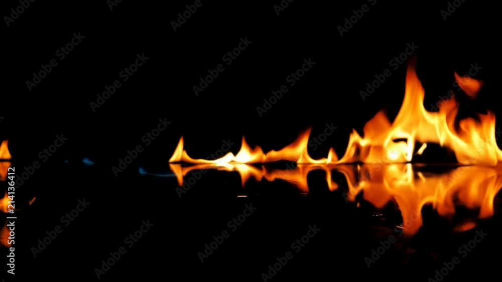 Fire Flames Igniting And Burning - Slow Motion. A line of real flames ignite on a black background. Real fire. Transparent background. PNG + Alpha Fire Flames Igniting And Burning - Slow Motion. A line of real flames ignite on a black background. Real fire. Transparent background. PNG + Alpha