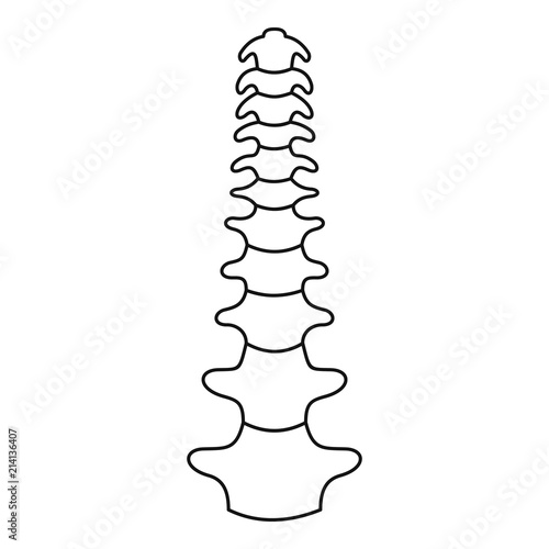 Human spine icon. Outline human spine vector icon for web design isolated on white background