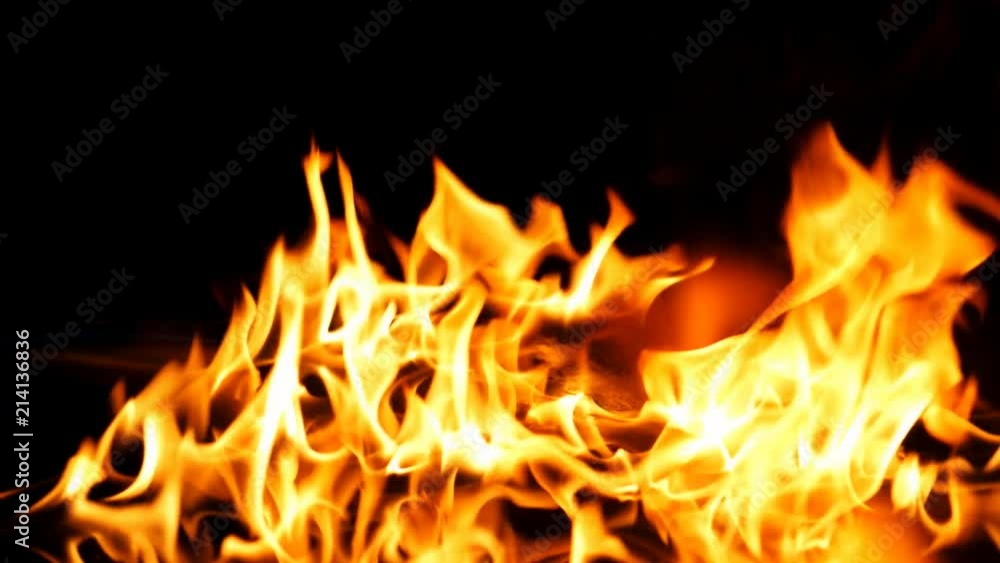 Fire Flames Igniting And Burning - Slow Motion. A line of real flames ignite on a black background. Real fire. Transparent background. PNG + Alpha Fire Flames Igniting And Burning - Slow Motion. A line of real flames ignite on a black background. Real fire. Transparent background. PNG + Alpha