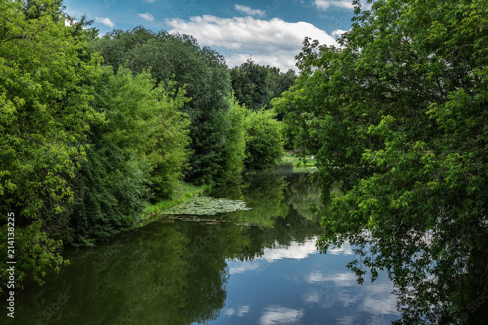 Scenic summer landscape with a lake in the park Scenic summer landscape with a lake in the park