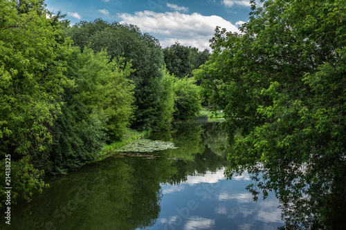 Scenic summer landscape with a lake in the park © arbalest