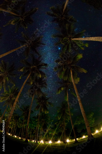 Fototapeta Naklejka Na Ścianę i Meble -  Night sky over coconut palm trees on a beach, rocks, sea or ocean. The night sky with stars, meteorites, milky way and clouds. Night star photography with long exposure. Illustration of universe.