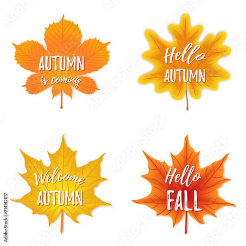 Vector autumn season banner. Set of four october leaves with greeting inscription, fall. Poster design with orange colorful imprints