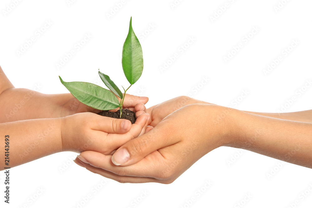 Woman and her child holding soil with green plant in hands on white background. Family concept Woman and her child holding soil with green plant in hands on white background. Family concept