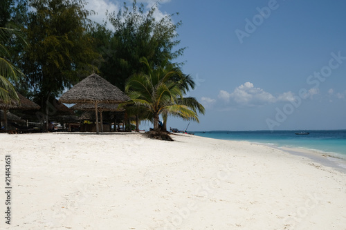 Beautiful tropical beach with white sand, palm trees. The coast of the Indian Ocean. Zanzibar. Tanzania