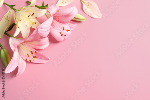 Flat lay composition with beautiful blooming lily flowers on color background
