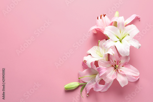 Fototapeta Naklejka Na Ścianę i Meble -  Flat lay composition with beautiful blooming lily flowers on color background