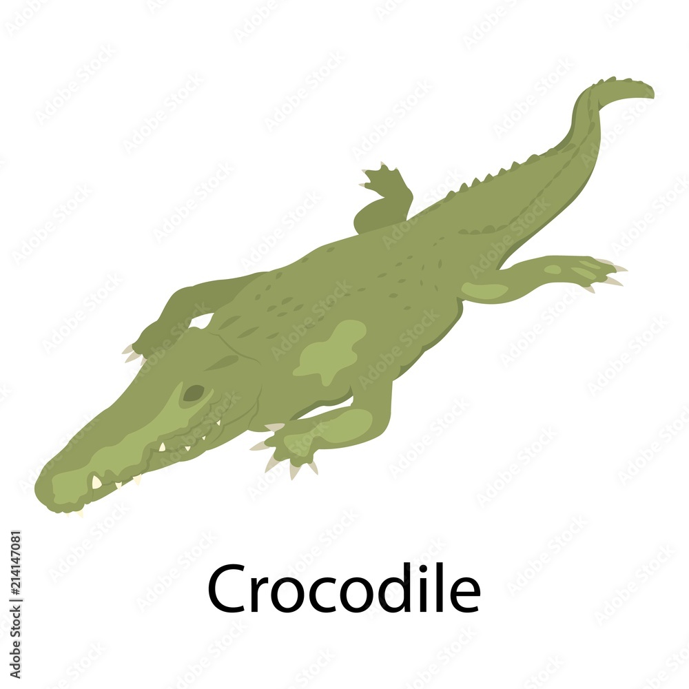 Fototapeta premium Crocodile icon. Isometric of crocodile vector icon for web design isolated on white background