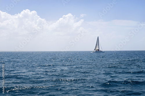 Lonely sailboat near the horizon in a calm sea  © Nevada31