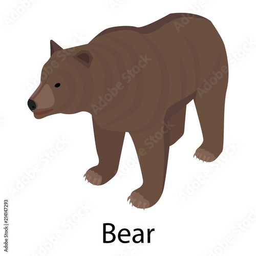 Bear icon. Isometric of bear vector icon for web design isolated on white background photo