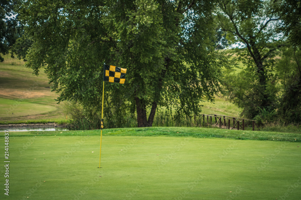 Obraz premium golf green with flag sunny day