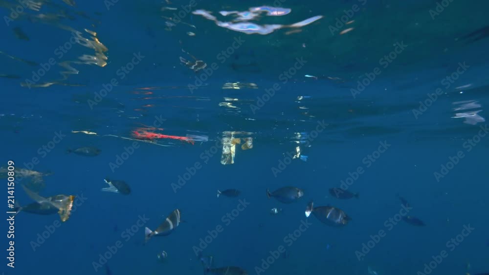 Trash pollution in water