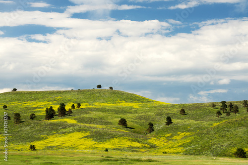 Black Hills South Dakota © brent coulter