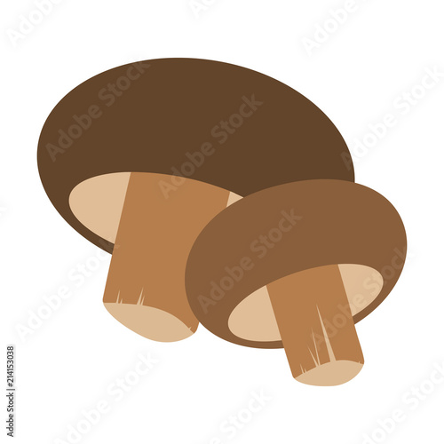 Fresh mushrooms shiitake, isolated on white background. Vector illustration in flat style.