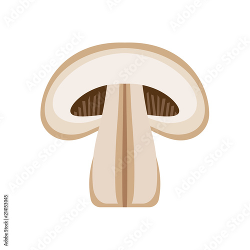 Fresh mushrooms slice, isolated on white background. Eat fresh organic champignons mushrooms. Vector illustration in flat style.