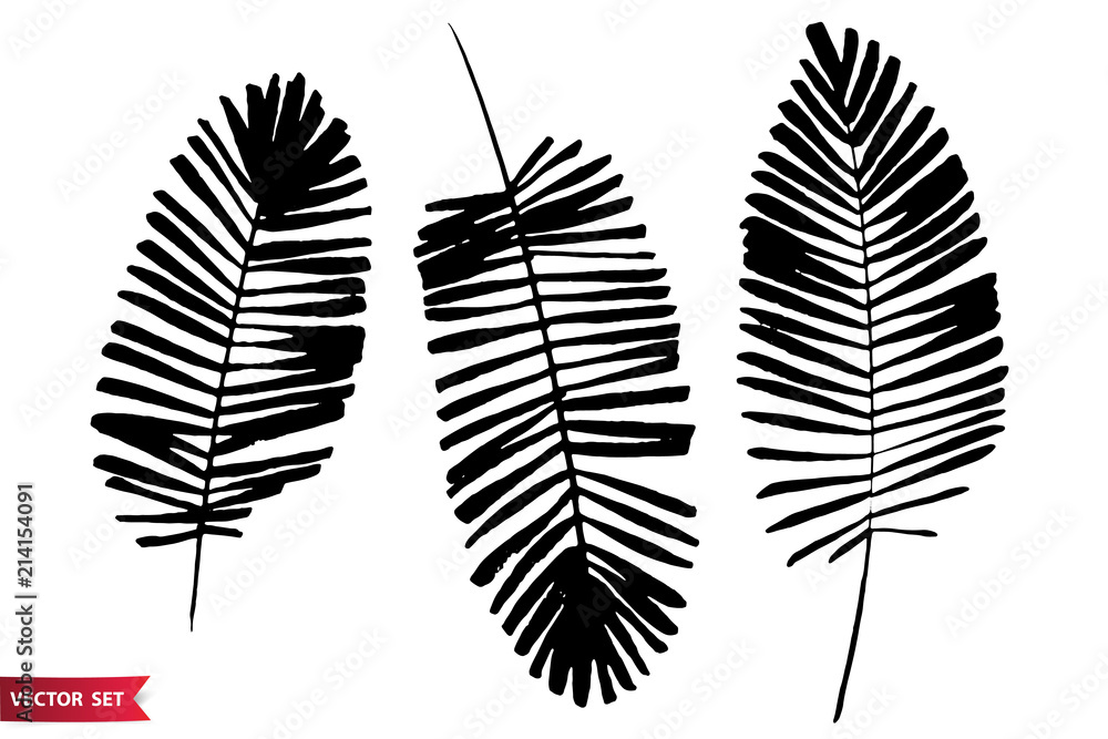 Fototapeta premium Vector set of ink drawing palm leaves, monochrome artistic botanical illustration, isolated floral elements, hand drawn illustration.