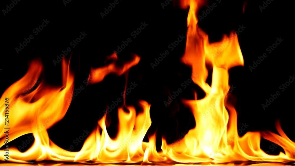 Fire Flames Igniting And Burning - Slow Motion. A line of real flames ignite on a black background. Real fire. Transparent background. PNG + Alpha Fire Flames Igniting And Burning - Slow Motion. A line of real flames ignite on a black background. Real fire. Transparent background. PNG + Alpha