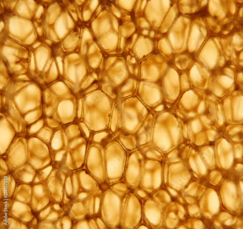 cellular structure,  polyurethane,