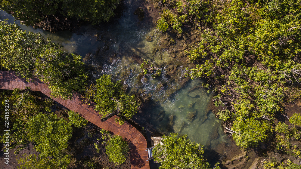 Tapom Small stream in Krabi Thailand Tapom Small stream in Krabi Thailand