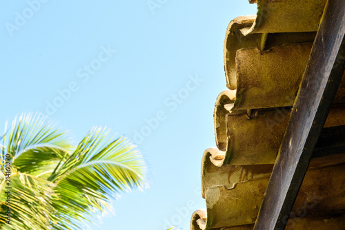 TROPICAL