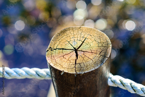 WOOD