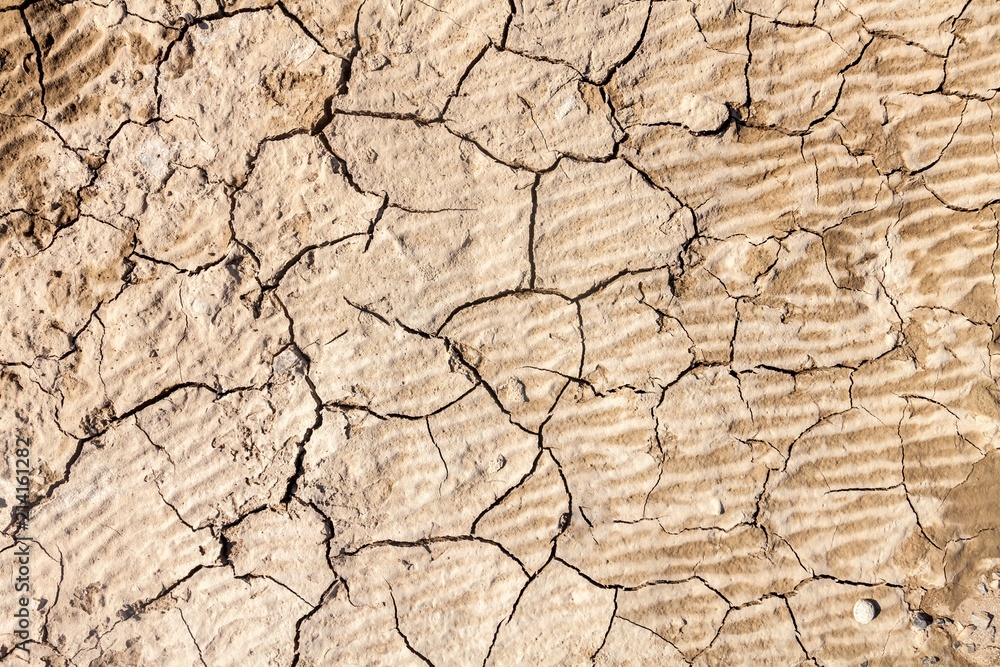 Cracks in Dry Earth Cracks in Dry Earth