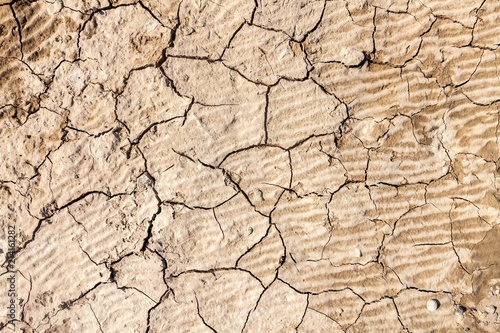 Cracks in Dry Earth