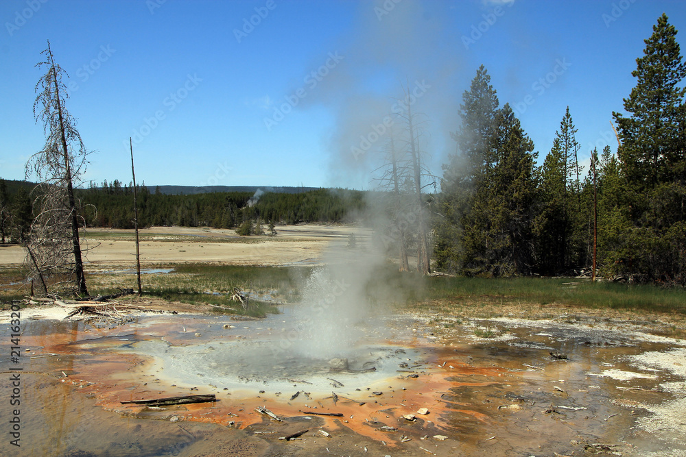 Geysers in Yellowstone National Park in USA Geysers in Yellowstone National Park in USA