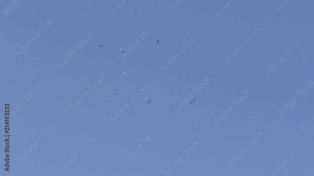 A colorful paragliders flying in the blue sky A colorful paragliders flying in the blue sky
