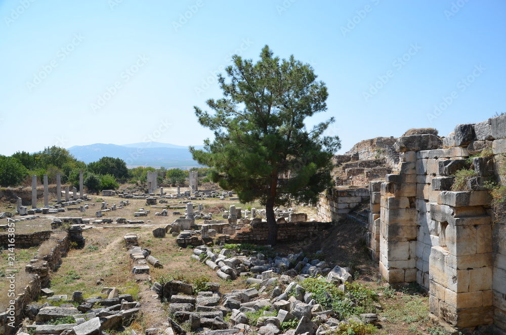 Aphrodisias ancient greek city tyrkey caria ruins marble