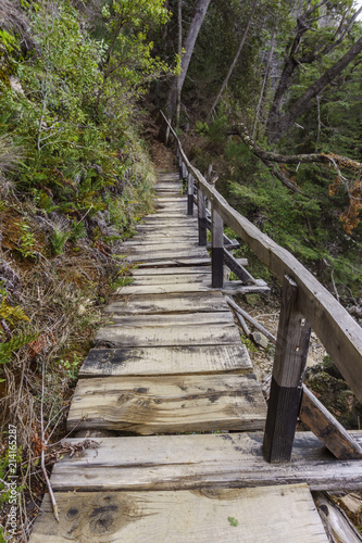 Wooden Bridge In The Forest