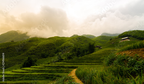 landscape of rice field in sapa town at vietnam with warm light