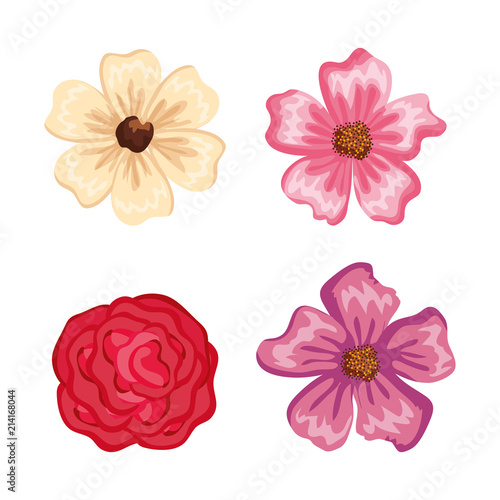 set beautiful flowers icons vector illustration design