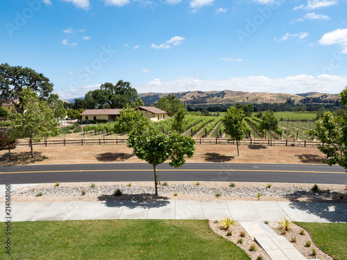 Panorama of front yard, sidewalk, road, winery and vineyard on a sunny spring day in the suburb or exurb South Livermore, Livermore Wine Country, California photo