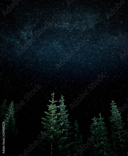 trees and milky way