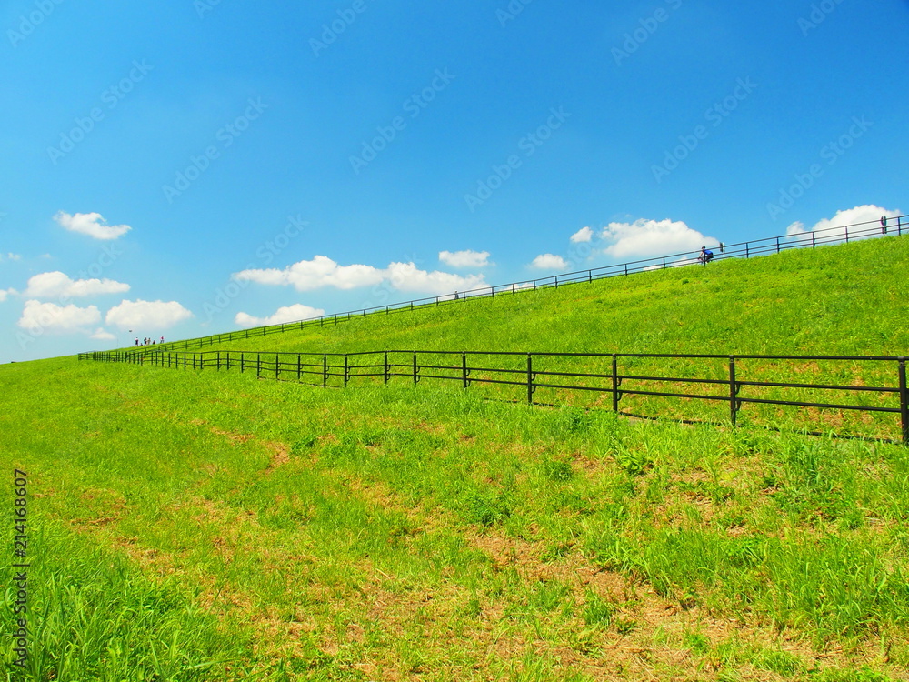 Fototapeta premium 柵のある土手風景