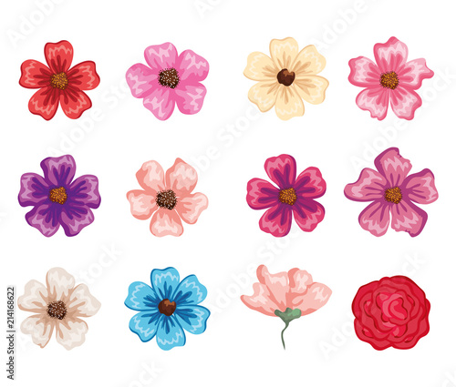 Fototapeta Naklejka Na Ścianę i Meble -  set beautiful flowers icons vector illustration design