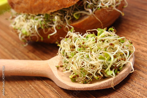 Bild auf Leinwand Alfalfa and radish sprouts on spoon and wholemeal bread roll in background