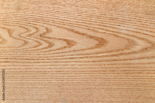 Texture of veneer of American oak.