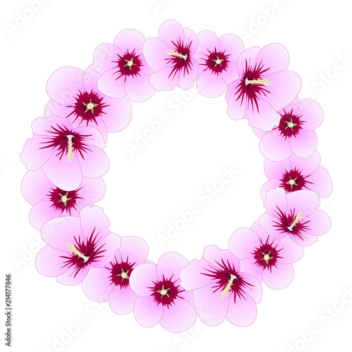 Hibiscus syriacus - Rose of Sharon Wreath