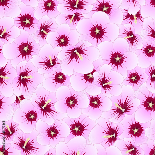 Hibiscus syriacus - Rose of Sharon Seamless Background. © asamask92