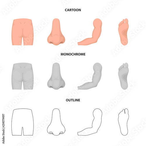Buttocks, nose, arm, foot. Part of the body set collection icons in cartoon,outline,monochrome style vector symbol stock illustration web.