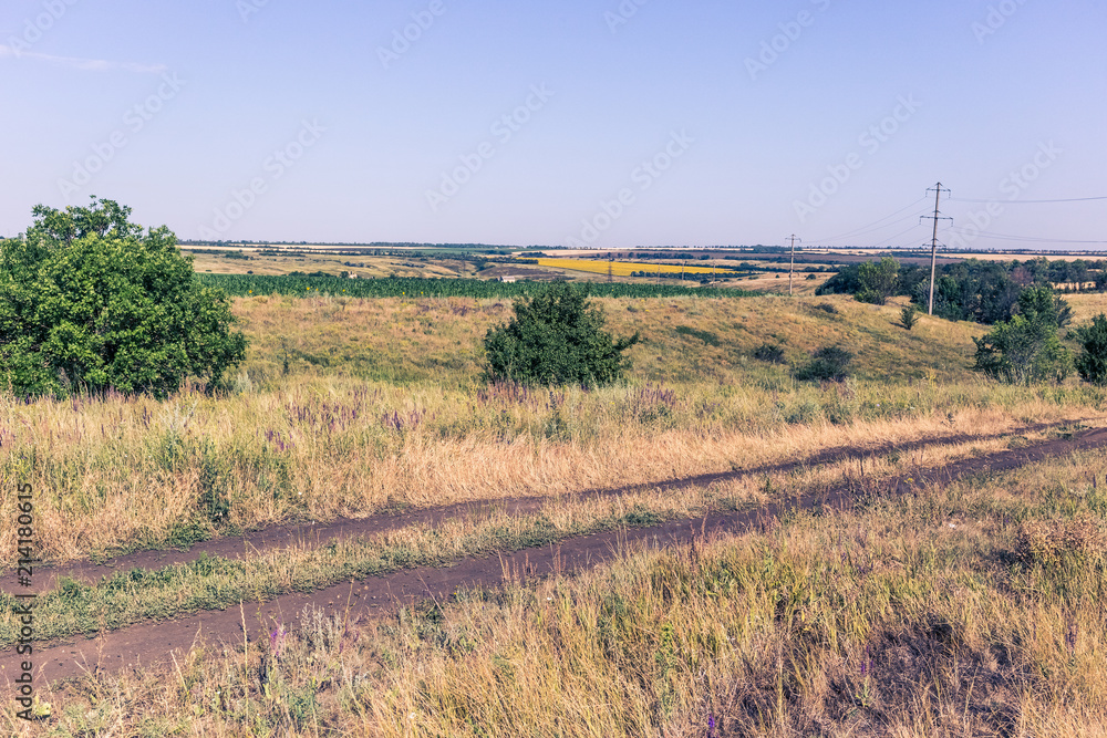Beautiful summer field road in Ukraine