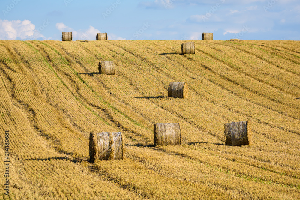 Round straw bales on field in Transylvania