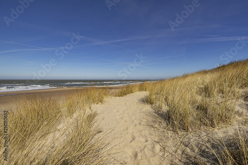 View from the grass dunes to abandoned Beach at Domburg / Netherlands
